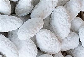 Pelino - Riccia Tostata